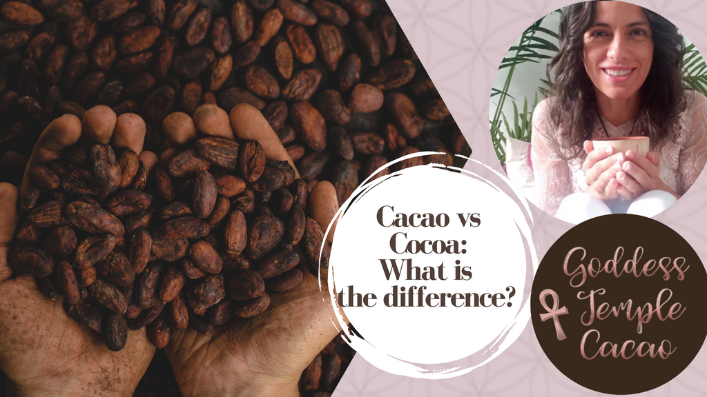 Cacao vs Cocoa, what’s the difference?