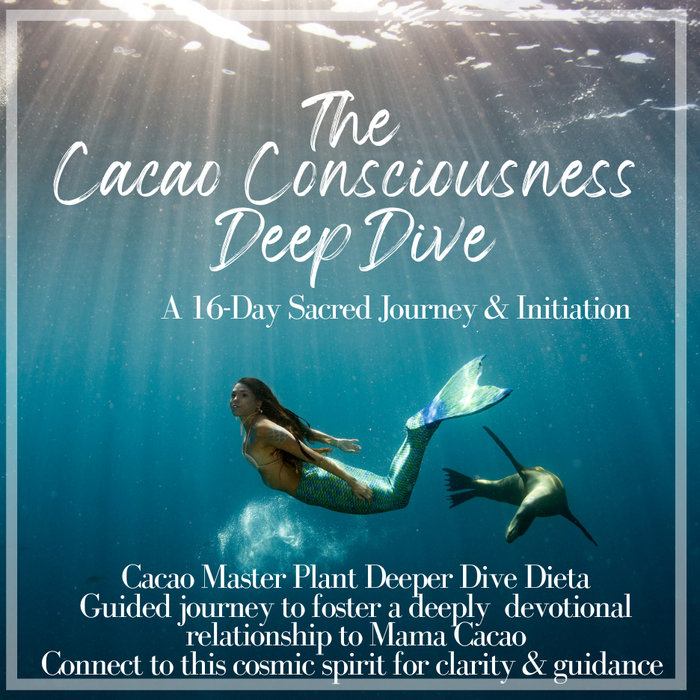 Cacao Consciousness Deep Dive 16 Day Initiation- LIVE ONLINE. Starts March 20, 2024