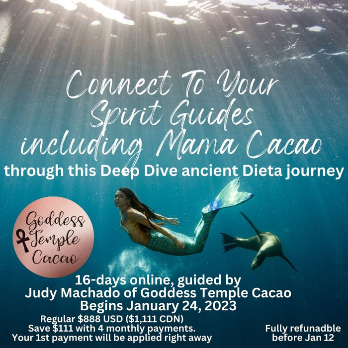 Add our upcoming 16-day Cacao Ceremony & Dieta (pay 1st of 4 monthly payments) with 10% discount